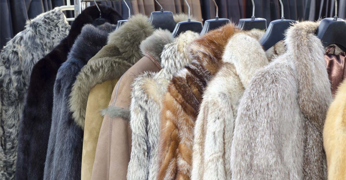 Extraordinary Value Items: Packing and Moving Fur, Fur Coats, Leather Fur