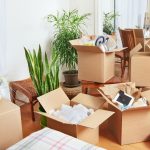 How to Move House Plants